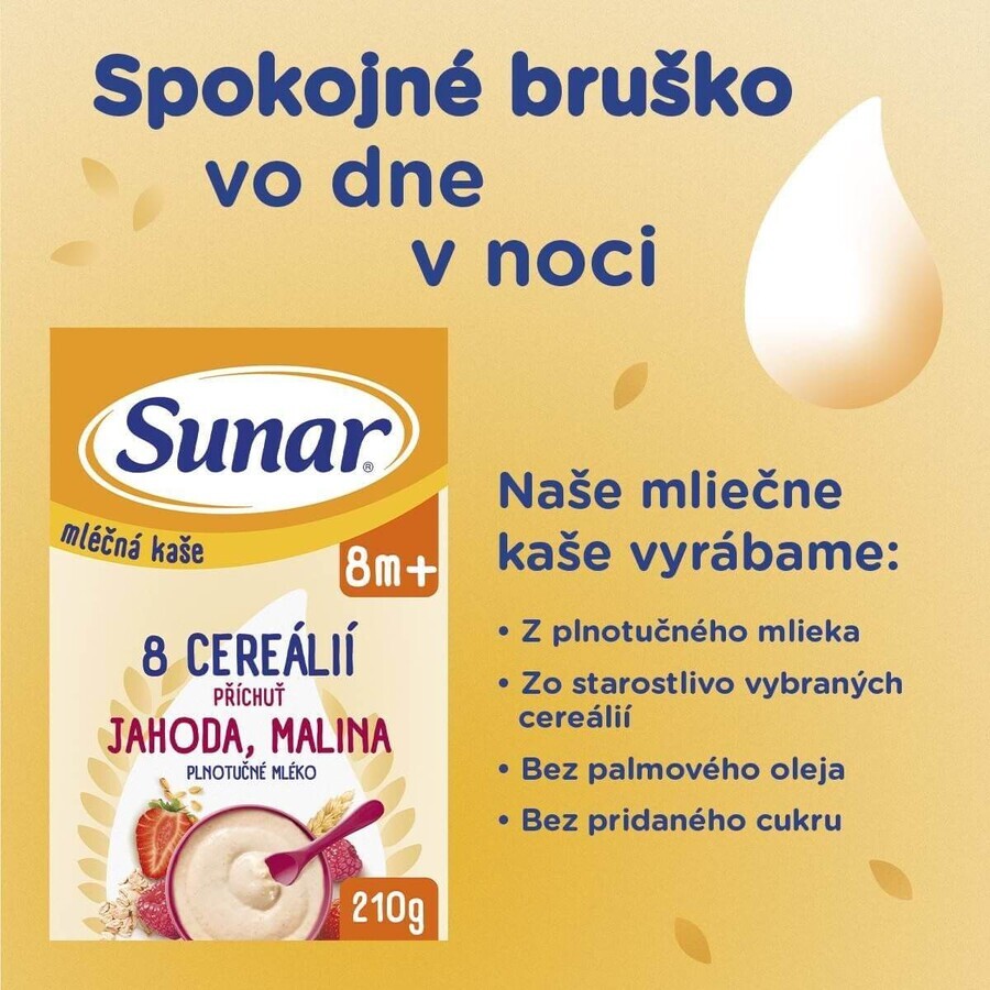 Sunar milk porridge with 8 cereals strawberries, raspberries 210 g