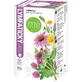 Fyto Pharma Tisane pour le système lymphatique 20 x 1,5 g