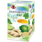 Herbex Premium Thé au Gingembre Mojito 20 x 2 g