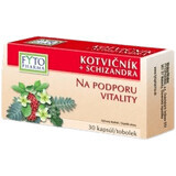 Fyto Pharma FYTO POT + SCHIZANDRA 30 gélules