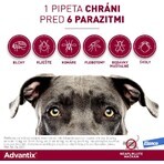 Advantix Spot-on pentru câini de peste 25 kg 4 ml Advantix Spot-on pentru câini de peste 25 kg 4 ml