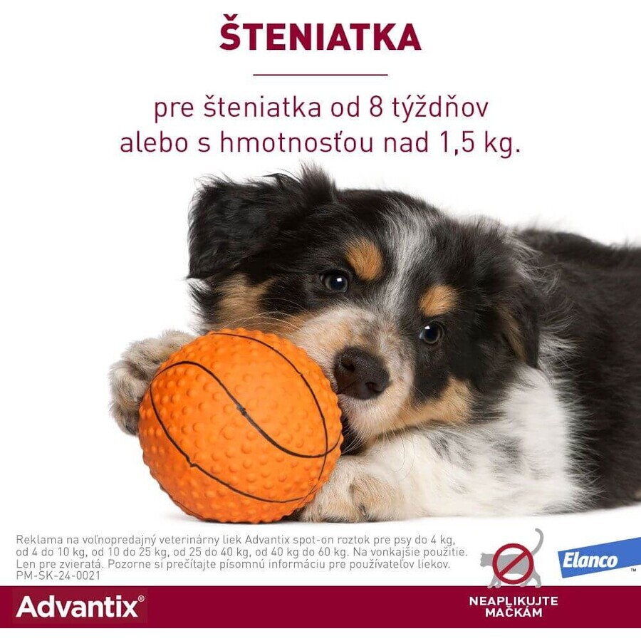 Advantix Spot-on pentru câini de peste 25 kg 4 ml