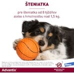 Advantix Spot-on pentru câini de peste 25 kg 4 ml Advantix Spot-on pentru câini de peste 25 kg 4 ml