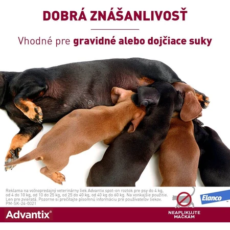 Advantix Spot-on für Hunde über 25 kg 4 ml
