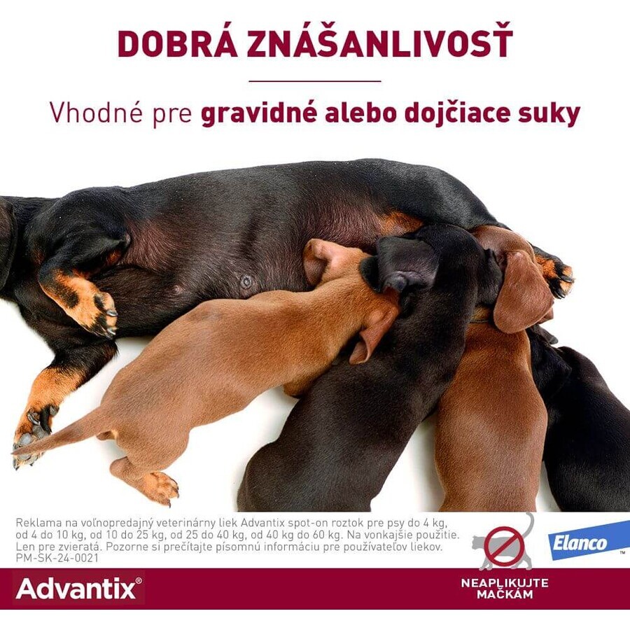 Advantix Spot-on pentru câini de peste 25 kg 4 ml