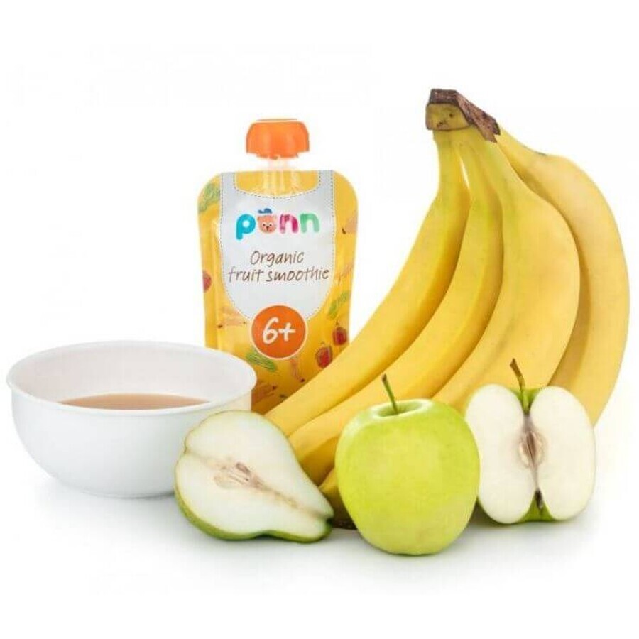 Salvest Põnn Biologische Fruit smoothie met ananas 110 g
