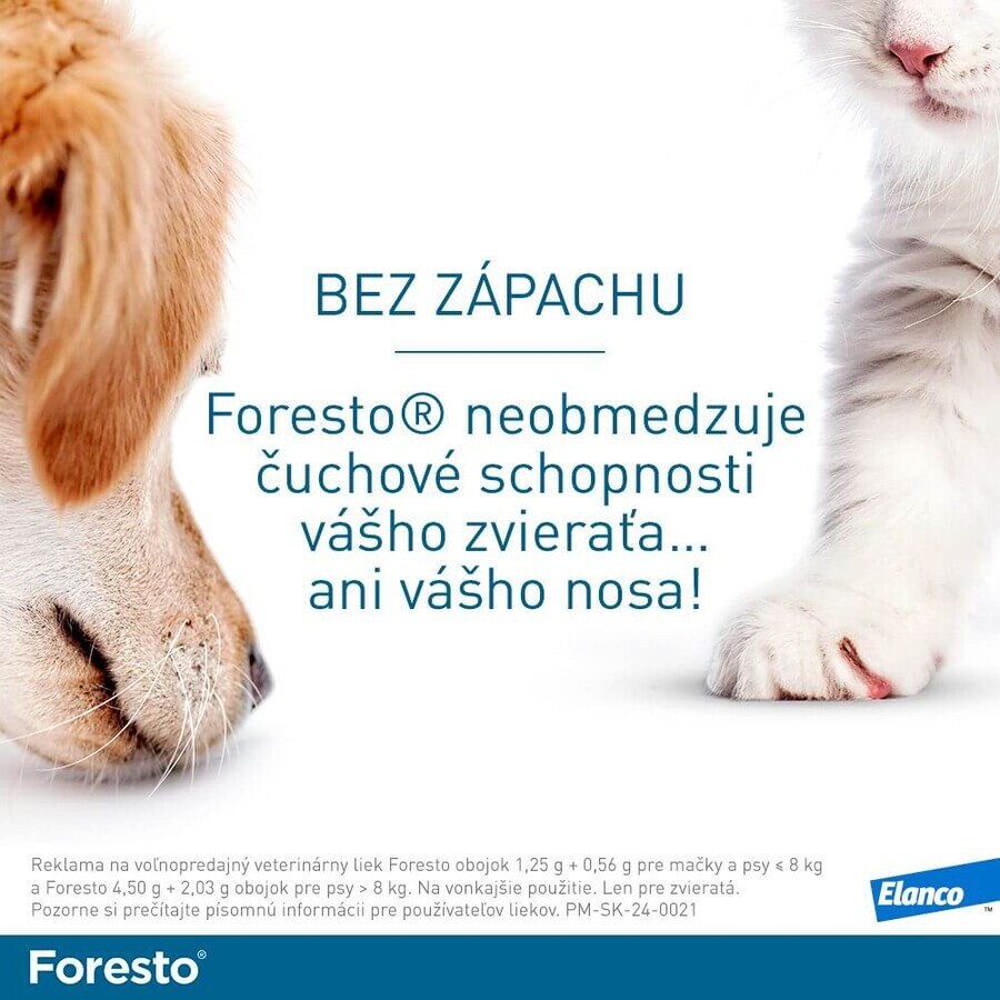 Foresto Collar for dogs over 8 kg 70 cm