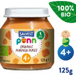 Salvest Ponn Piure de dovleac bio 125 g