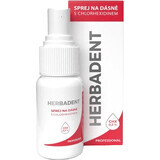 Herbadent professional gum spray with chlorhexidine 25 ml