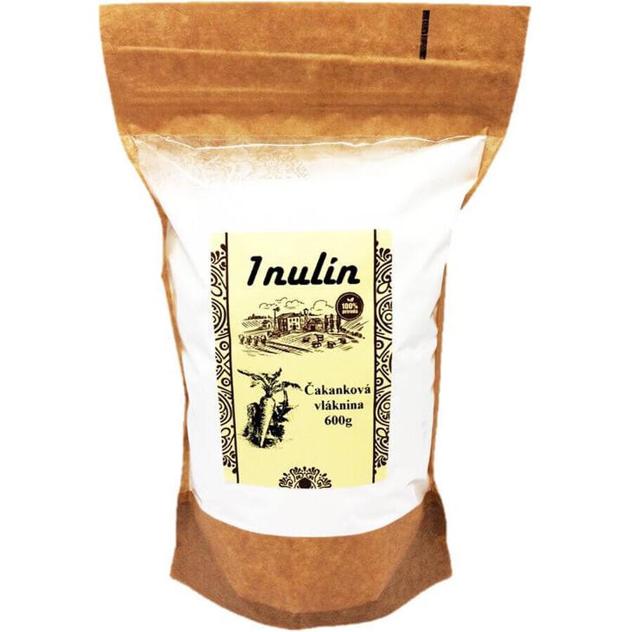 Najtelo Inuline fibres de chicorée 600 g