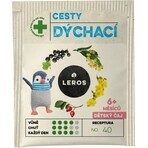 Leros Thé des voies respiratoires pour enfants 20 x 2 g Leros Thé des voies respiratoires pour enfants 20 x 2 g