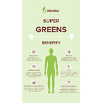 Blendea Supergreens BIO 5 grüne Superfoods 90 g Blendea Supergreens BIO 5 grüne Superfoods 90 g