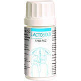 Lactosolv 17500 FCC, 60 capsules