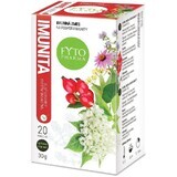 Fyto Pharma Mélange de plantes pour le soutien immunitaire, 20 x 1,5 g