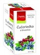 Apotheke Premier Selection Th&#233; aux myrtilles et aux canneberges 20 x 2 g