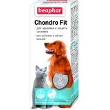 Beaphar Chondro Fit Nahrungsergänzungsmittel 35 ml
