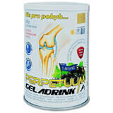 Geladrink PERPETUUM Băutură de coacăze negre 500 g