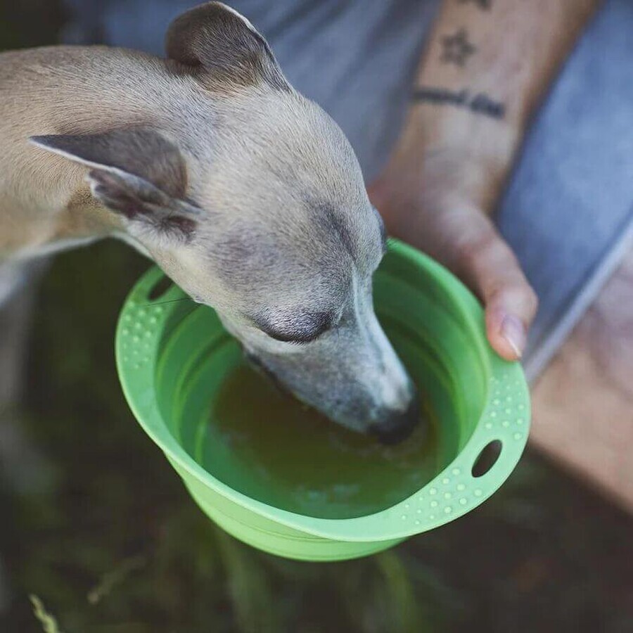 Pet Farm Family Wilderness - bulion pentru câini și pisici 270 ml