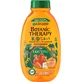 Garnier Botanic Therapy Disney Kids 2in1 Shampoo en Conditioner Lion King Caise 400 ml