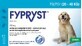 Fypryst Psy 20-40 kg Solution for skin drip for dogs 1 pc