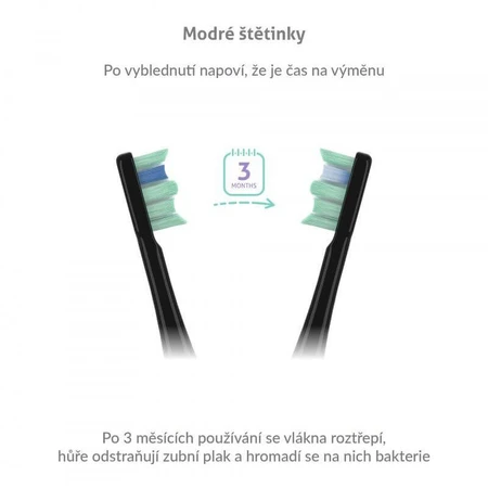 TrueLife SonicBrush Clean30 Zwart sonische borstel
