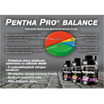 Prom-In Pentha Pro Balance Chocolate with Coconut 2250 g