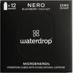 Goccia d'acqua nera 12 pz.