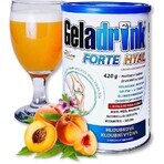 Geladrink FORTE HYAL Pesca HYAL Pesca in polvere 420 g Geladrink FORTE HYAL Pesca HYAL Pesca in polvere 420 g