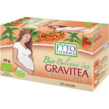 Fyto Pharma Gravitea Organic Tisane pour femmes enceintes, en portions de 20 x 1,5 g