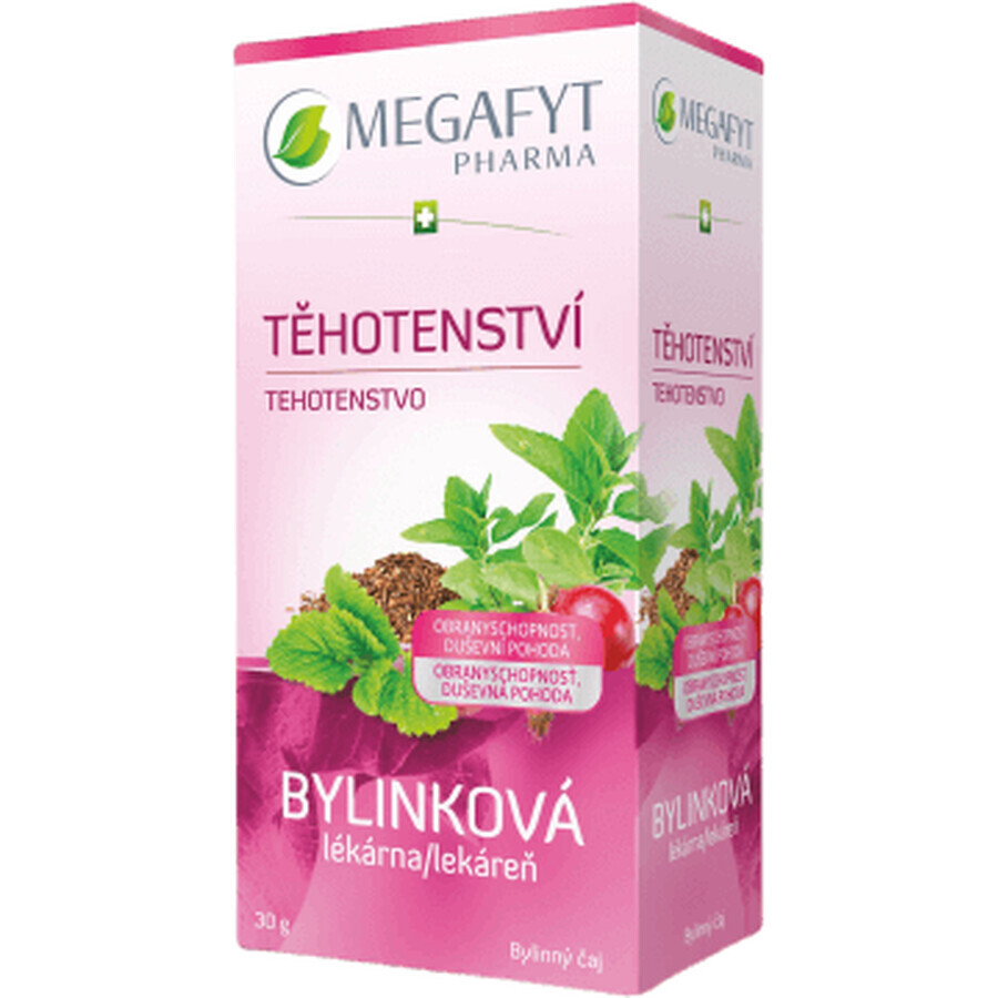 Megafyt Kruidenapotheek Zwangerschap 20 x 1,5 g