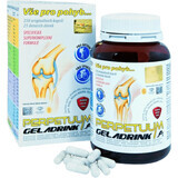Geladrink Perpetuum 350 capsule