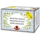 Herbex Tisane, 20 x 3 g