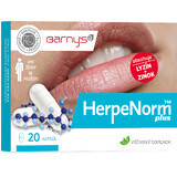 Barny's HerpeNorm plus 20 capsule