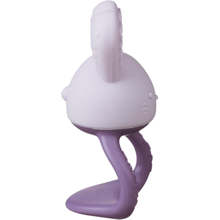 B. Teether Rabbit cool box - purple