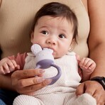 B. Teether Rabbit - scatola fredda - viola B. Teether Rabbit - scatola fredda - viola