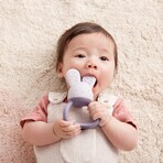 B. Teether Rabbit cool box - purple