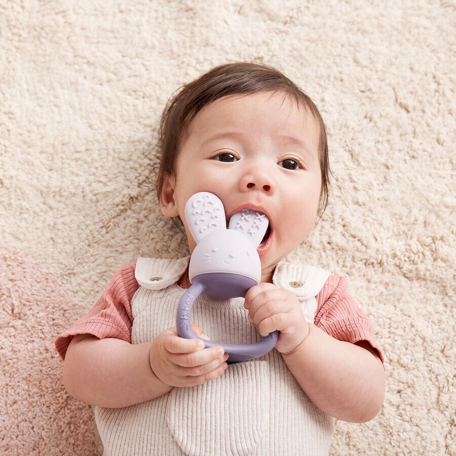 B. Teether Rabbit cool box - purple