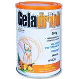 Geladrink pulbere de ananas 280 g