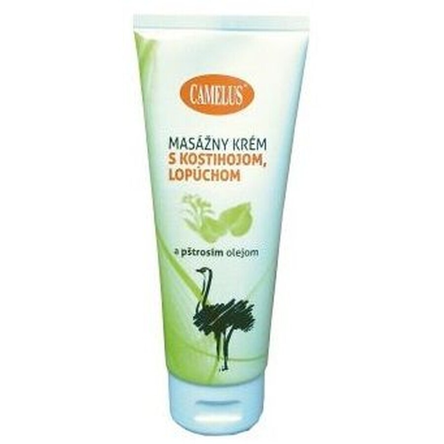 Camelus Massage cream with basil, burdock and ostrich oil 100 ml