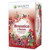Megafyt Airelles avec thé de sureau 20 x 2 g