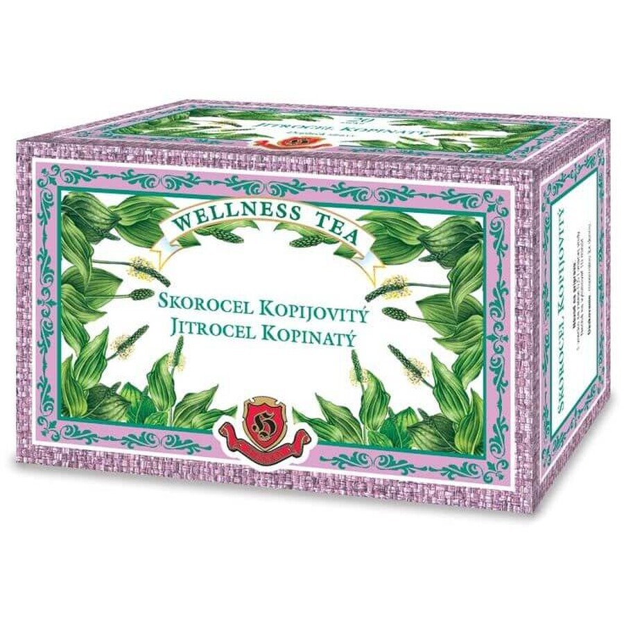 Herbex Bockshornklee-Pfefferminz-Kräutertee, 20 x 3 g