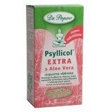 Dr. Popov PSYLLICOL EXTRA with Aloe Vera soluble citrus flavored fiber 100 g