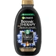 Garnier Magnetic Charcoal Cleansing Shampoo 400 ml