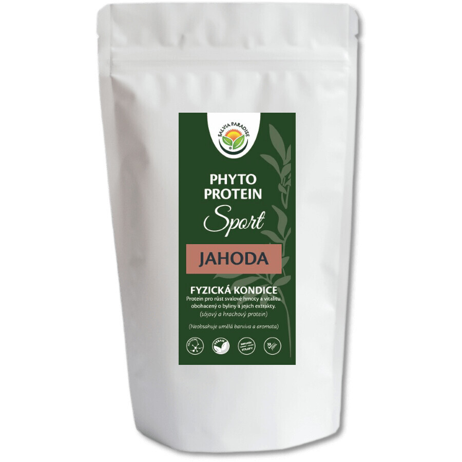 Salvia Paradise Phyto Phyto Protein Sport Fraise 300 g