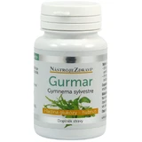 Instrumente de sănătate Gurmar Gymnema sylvestre 60 capsule