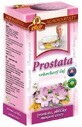 Agrocarps Prostate Willow Tea prodotto naturale, 20 x 2 g