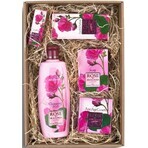Set cadou cosmetice Rose of Bulgaria 5 buc Set cadou cosmetice Rose of Bulgaria 5 buc