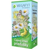 Megafyt Herbal Pharmacy Bronchial Tea Blend 20 x 1.5 g