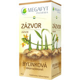 Megafyt Herbal Pharmacy Sachets de Gingembre 20 x 1,5 g