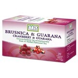 Fyto Pharma Thé aux fruits canneberge et guarana en sachets avec entonnoir 20 x 2 g